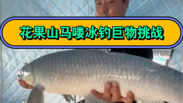 Huaguoshan Ice Fishing Monster Catch Challenge