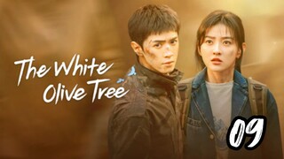The White Olive tree sub indo episode 9