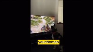 khum biết phải lói gì với trường hợp này🤣