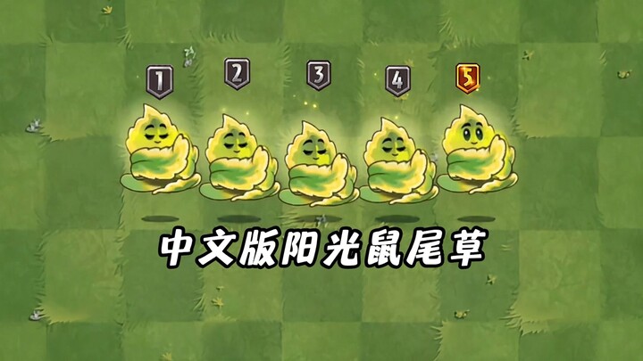How much will the Chinese version of Sunny Sage change from Tier 1 to Tier 5?