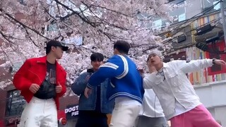 【Howl&minseo&minjun&hulk&yejun】退队五人组 樱花树下challenge 你们把日子过好比什么都强