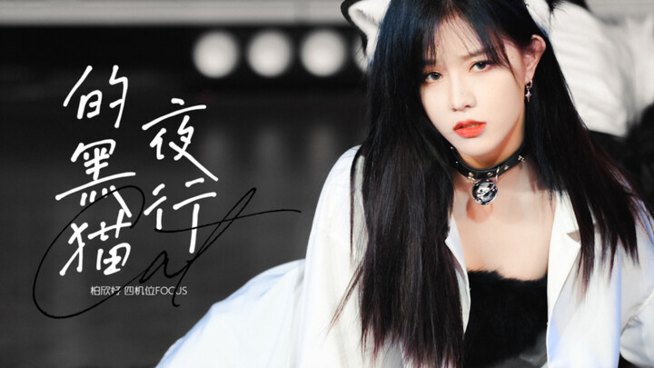 【ป๋อซินยวี่】20230312 SNH48 ทีม NII การแสดงพิเศษวันวาเลนไทน์สีขาว ยูนิต "แมวดำเดินกลางคืน" เน้นโฟกัสจ