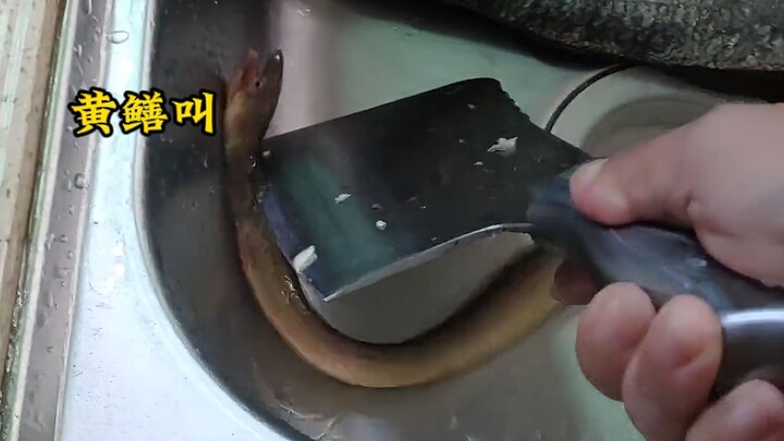 This is the true sound these creatures make!