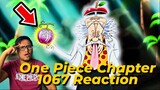 VEGAPUNK FOR NAKAMA??? | ONE PIECE 1067 REACTION