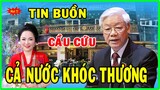 Con trai bà Nguyễn Phương Hằng gửi đơn xin khoan hồng và bảo lãnh mẹ