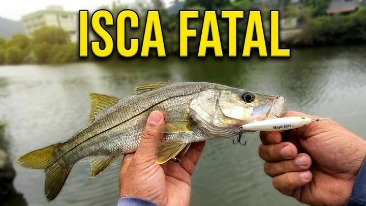 ROBALO NO BARRANCO com Magic Stick Branca! Ataque Insano