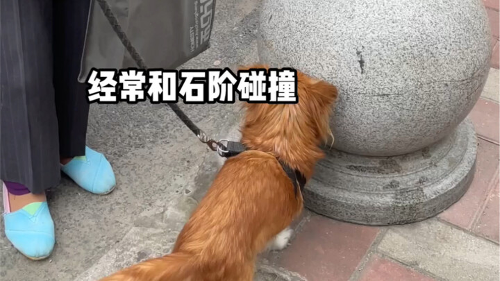 It’s love that helps it find its way home in a dark world.