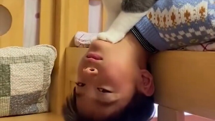 [Wild Cat Observation] Kitten, are you in your rebellious phase? [Mom will punish you]