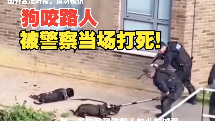 太解气了，土豪溜狗不牵绳还咬人，被警察当场打死！