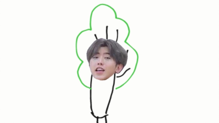 从前有一种白菜叫徐坤菜(蔡徐坤)，后来...