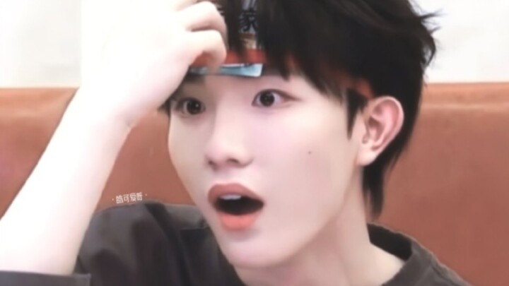 【ซานเหมยอี๋】อาจารย์ฝึกสุนัขซูซินฮ่าวกลับมาโลดแล่นอีกครั้ง! ซูซินฮ่าวคนเดียวทำให้เพื่อนร่วมงานทั้งสี่