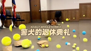 警犬的退休典礼