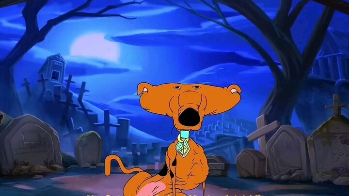 What is a real dog?