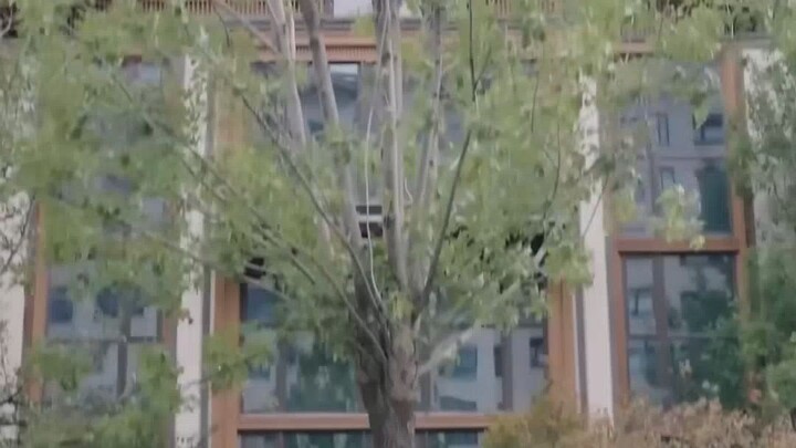 (เต็มเรื่อง)CEO เย็นชาขับรถชนหมาเลยสลับร่างกัน มีแค่เธอที่อ่านใจหมาได้ หลังรู้ความจริงก็ตามจีบอ้อนเธ