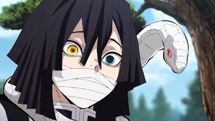 [Diệt Quỷ: Kimetsu no Yaiba] Chú mèo nhỏ đáng yêu nhất, Chachamaru và Yushiro thực chất là tình địch