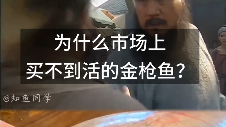 Mengapa di pasaran tidak ada tuna segar yang dijual?