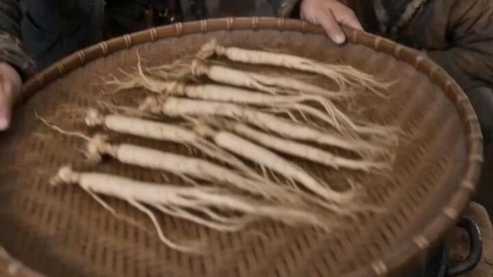 Did provisions turn into top‑grade tribute ginseng? A Tang Dynasty post rider drank ginseng soup for