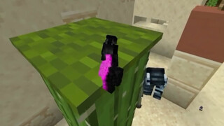 Minecraft: มินิซ่อนหา