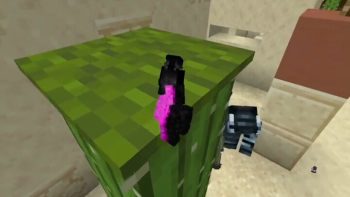 Minecraft: Trò chơi trốn tìm mini