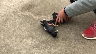 [Animals]Two birds fight and man tries to stop them|Crested Myna