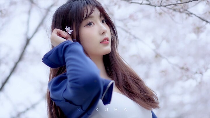 The Girl Under the Cherry Blossoms 🌸