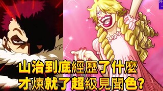 山治到底经历了什么，才练就匹敌卡二的超级见闻色？#208