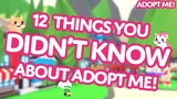 👀 12 Things You DIDN'T KNOW about Adopt Me! on Roblox 🙊