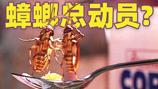 【吐嚎】4万只蟑螂演出奇葩电影蟑螂总动员，看完整个人都不好了