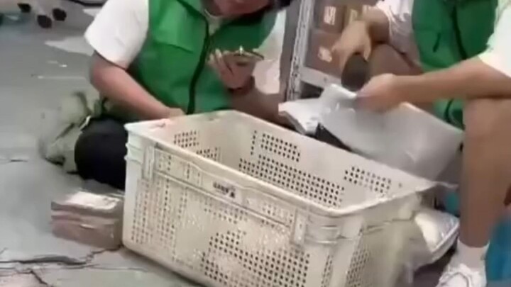 [Domestic Meme] If you don’t laugh after watching, your size will grow