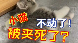 小猫😭👊🏻