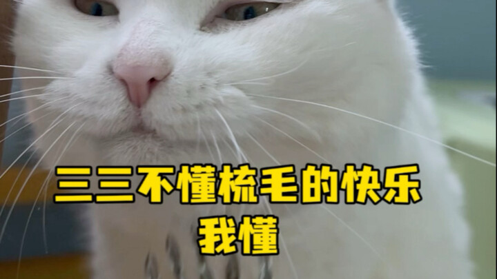 三三不懂梳毛的快乐