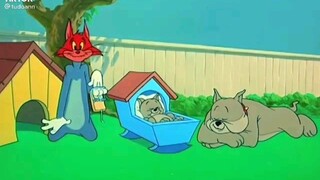 tom anh Jerry bản hủy diệt.