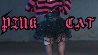 竖屏《PINK CAT》