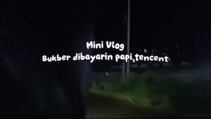 Mini Vlog