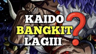 BAJA LAUT BINATANG BUAS🔥🔥 KAIDO ONE PIECE ❗❗❗