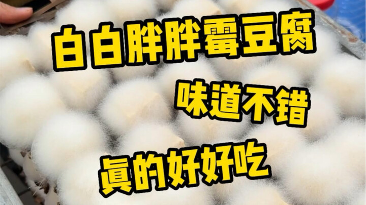 路边偶遇霉豆腐摊摊！为什么他家的长得这么可爱？？还是熟悉的味道好吃下饭！