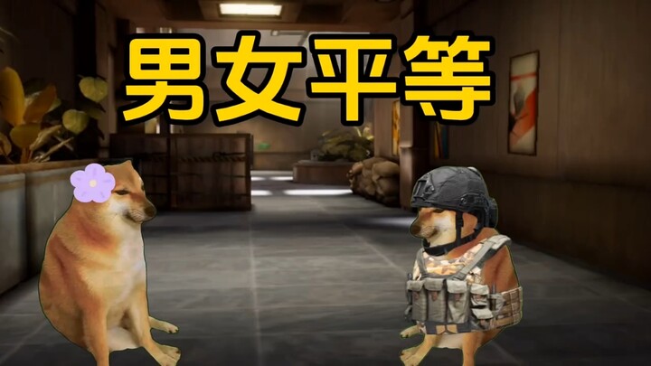 西格玛先锋