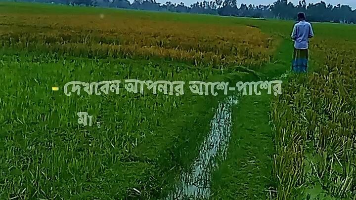 Please hear me out,I have a lot to say👉অনেক দামি কিছু কথা শুনুন