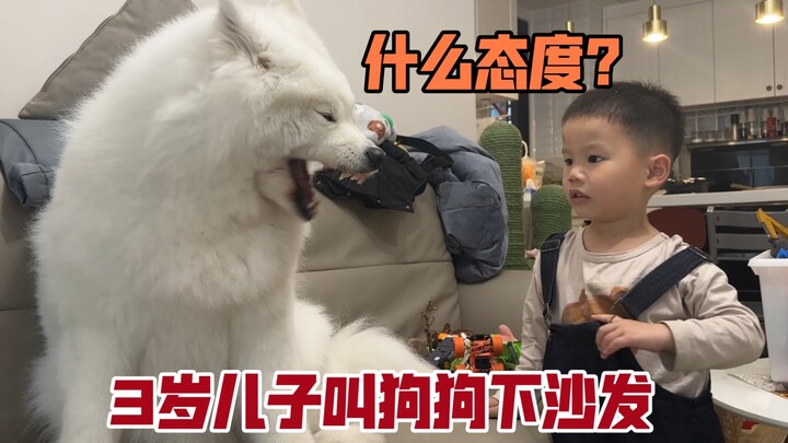 A 9-year-old dog steps on her 3-year-old son’s toy, and the baby loudly scolds it—so Mom slaps it!