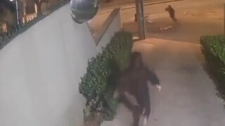 عندما اكتشف هذا الدراج البرازيلي أن دراجته قد سُرقت