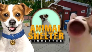 PECINTA HEWAN WAJIB MAIN GAME INI GUYS. ANIMAL SHELTER SIMULATOR