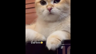 งอน ไม่ต้องมาจับเลย!!