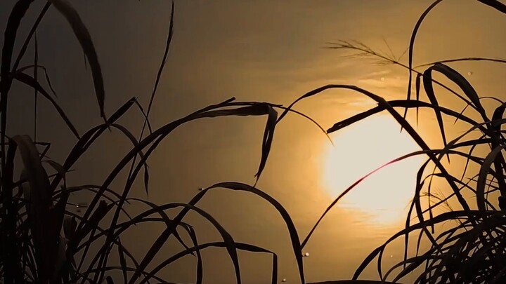 【Copyright-free empty shot】“Return to dust”