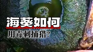 统一回复：不可以摸！