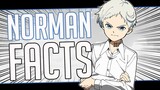 5 Facts About Norman - The Promised Neverland/Yakusoku no Neverland