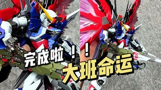 【完成啦】大班 - 8828命运