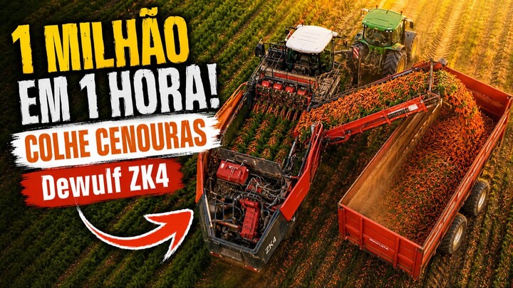 ESSA MÁQUINA COLHE QUASE 1 MILHÃO DE CENOURAS EM 1 HORA! | Dewulf ZK4