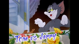 Tom___Jerry___A_Bit_of_Fresh_Air!___Classic_Cartoon_Compilation___@WB_Kids(720p