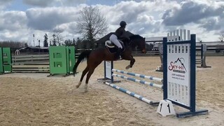 我的新马和我的新教练 My new horse and coach