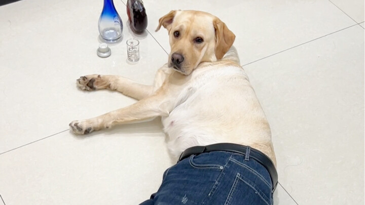 Ketika saya pulang kerja dan membuka pintu, saya pikir suami saya tergeletak di lantai dalam keadaan